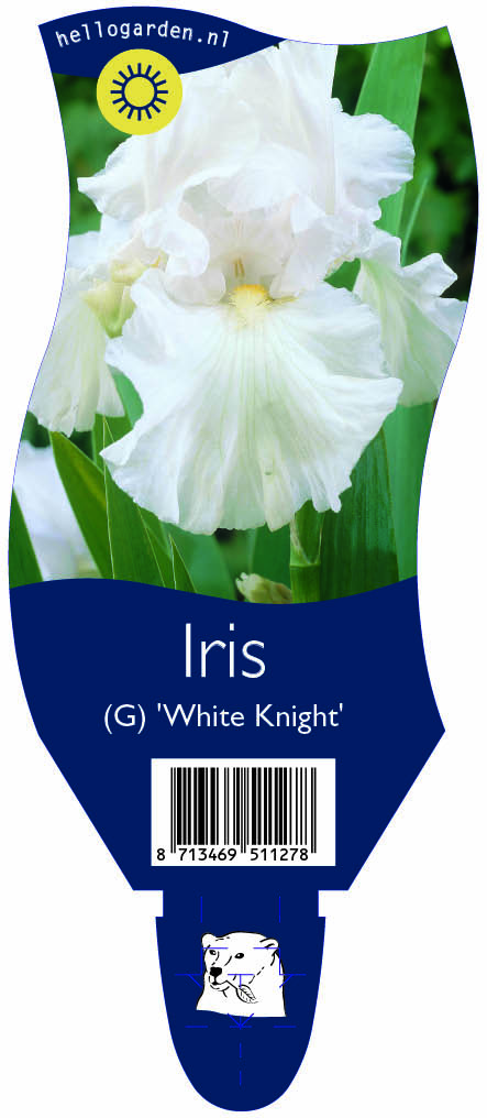 Iris (G) 'White Knight' ; P11